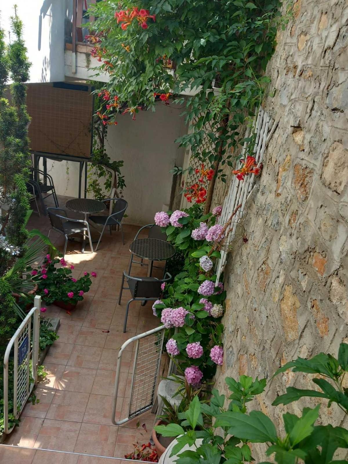 Vila Kosta City Center Port Ohrid Buitenkant foto